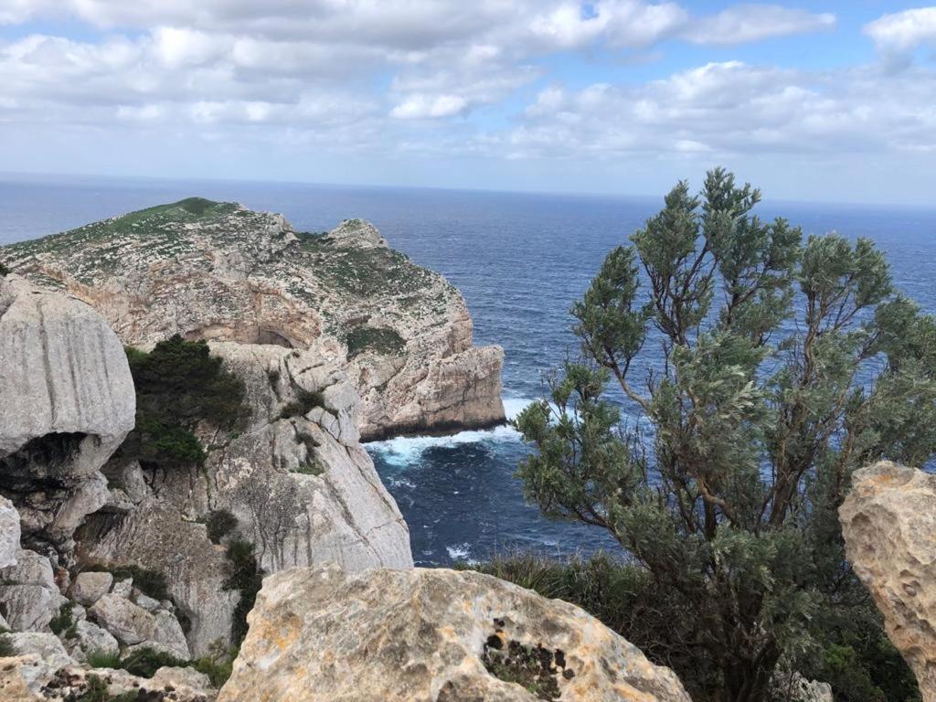 Appartamento Centro Del Porto ألغيرو المظهر الخارجي الصورة
